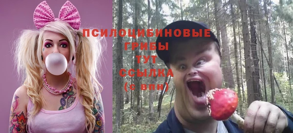 соль ск Балахна