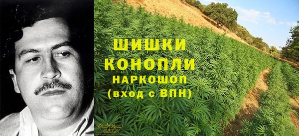 соль ск Балахна