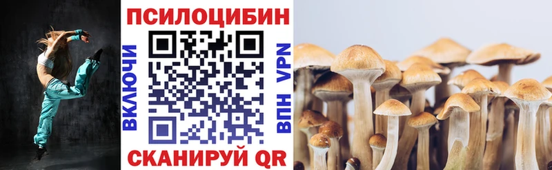 Купить где  Железноводск  Галлюциногенные грибы Psilocybine cubensis 